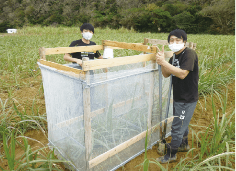 「島嶼部地域課題への取り組み」