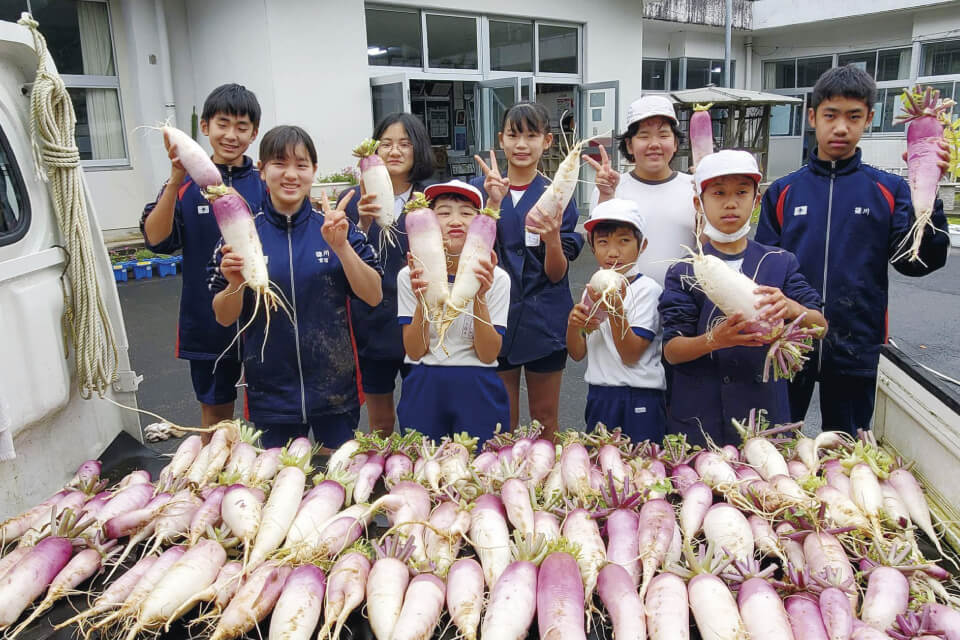瀬戸内町立篠川小中学校の児童生徒が収穫した古志大根。これらの大根は瀬戸内町内の学校でそぼろ煮として学校給食に提供された。