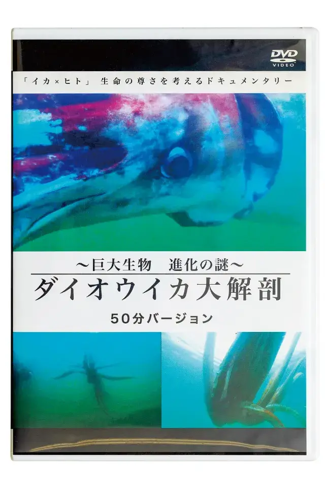 株式会社ツードッグ 「巨大生物 進化の謎 ~ダイオウイカ大解剖~」