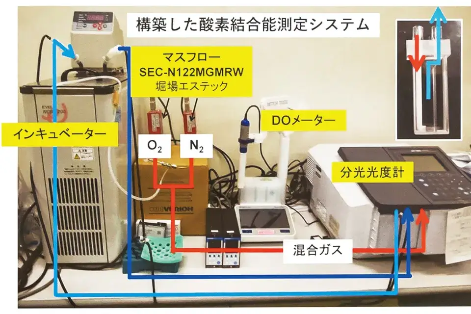 実験方法