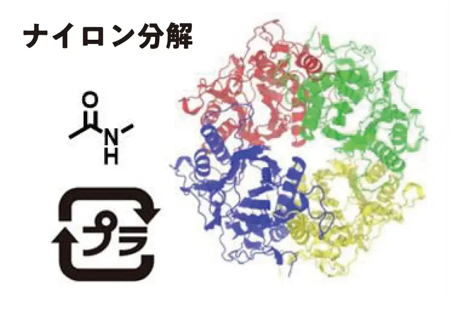 ナイロン分解